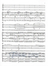 Z 6223_3.jpg